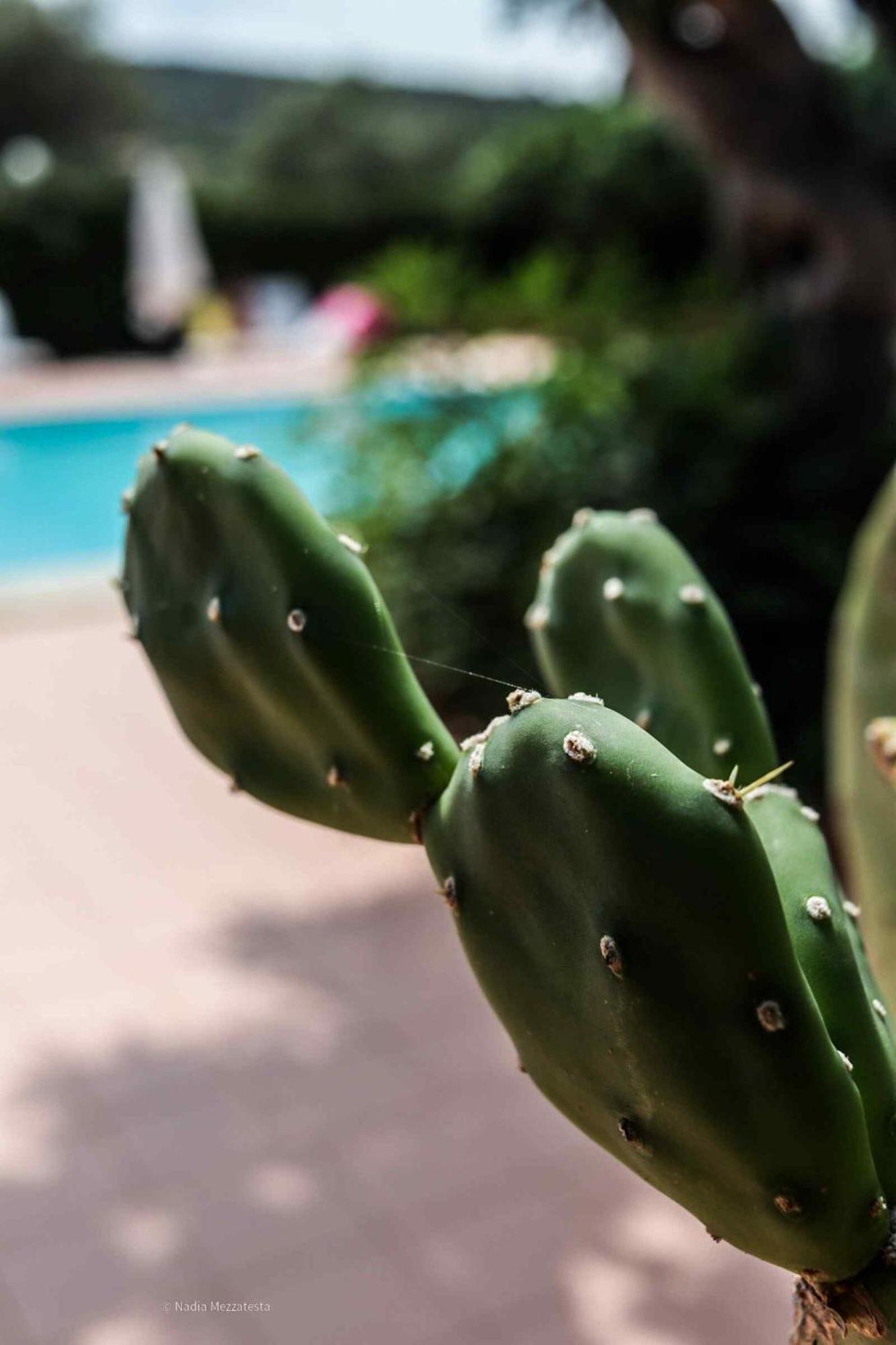 Il Casale Il Sole E La Margherita Campofelice di Roccella Kültér fotó