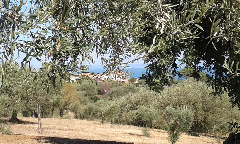 Il Casale Il Sole E La Margherita Campofelice di Roccella Kültér fotó